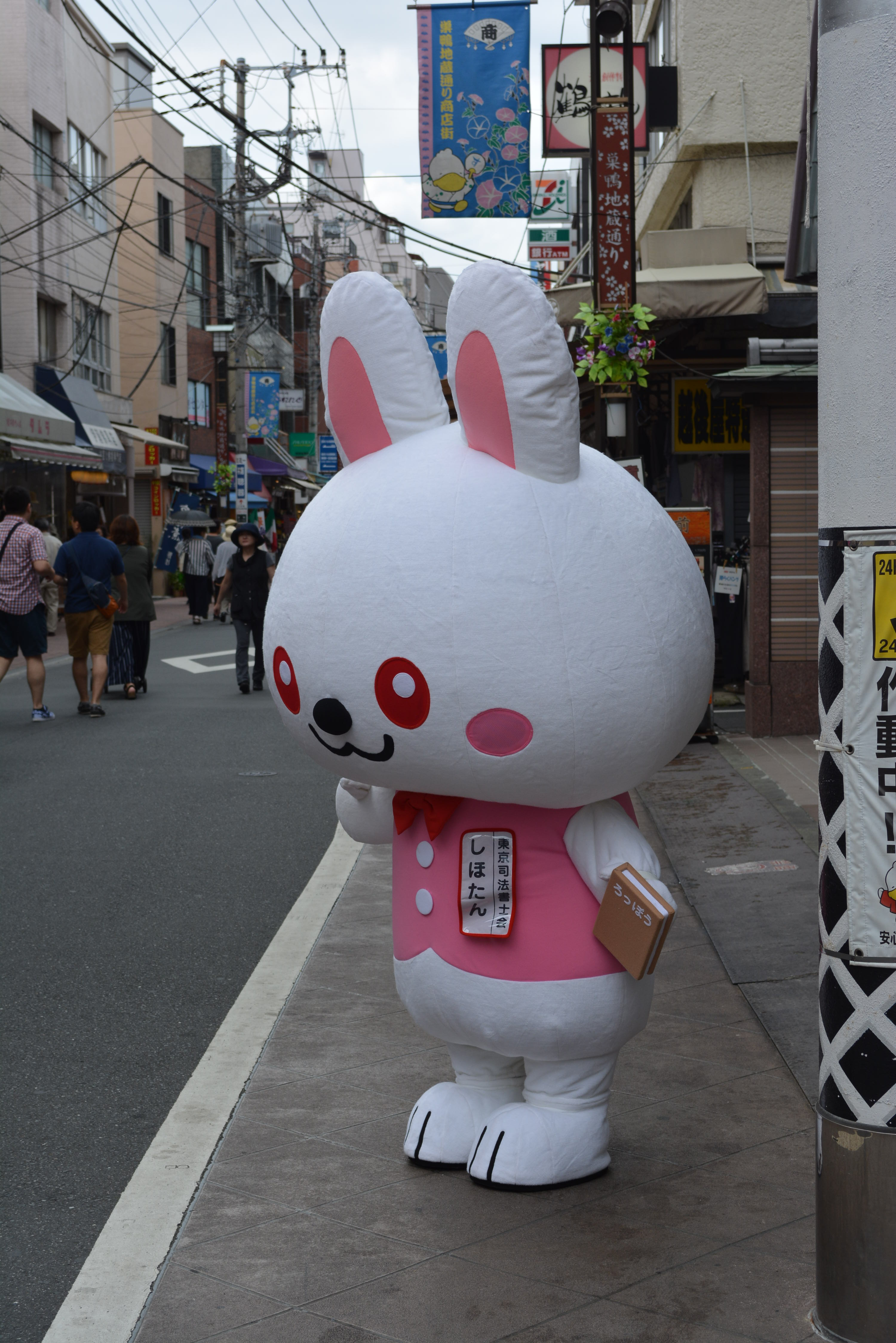 DSC_0109.JPG