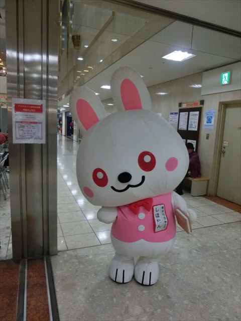 CIMG5547_R.JPG