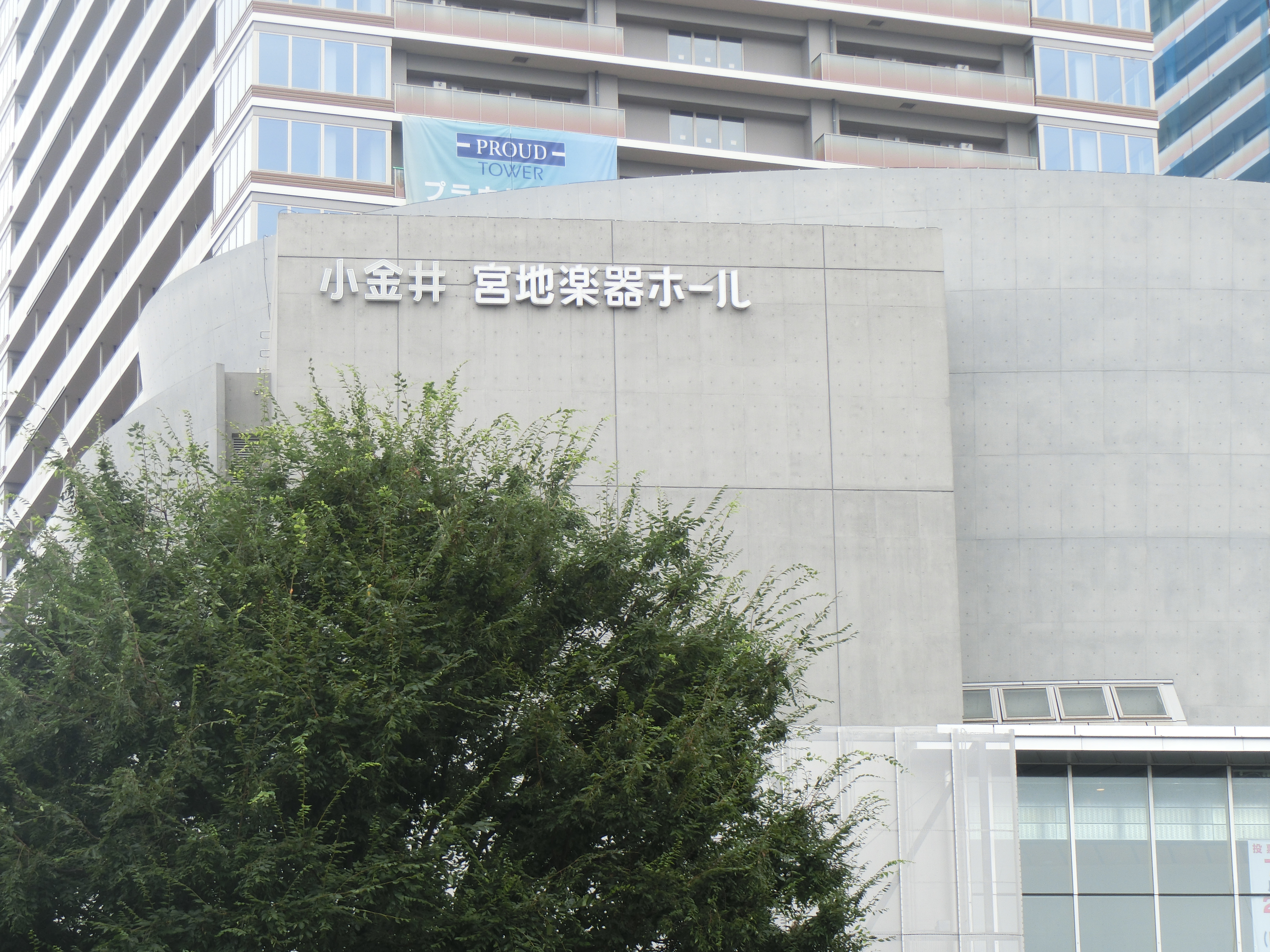 CIMG0901.JPG
